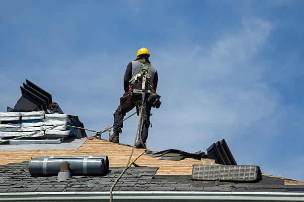 Professional Storm Damage Roof Repair technician working in Henning, MN